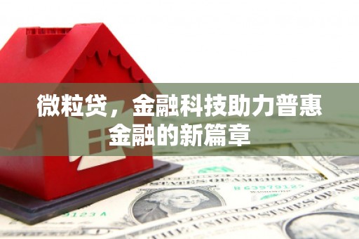 莺歌微粒贷，金融科技助力普惠金融的新篇章