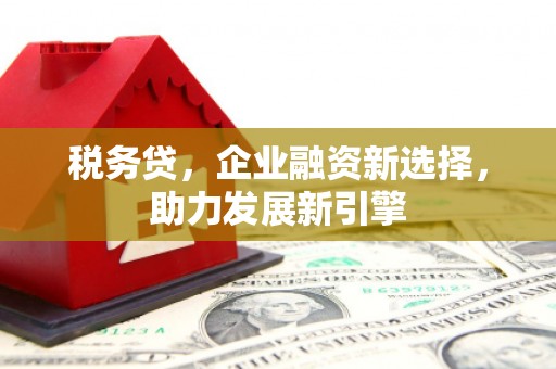 永嘉税务贷，企业融资新选择，助力发展新引擎