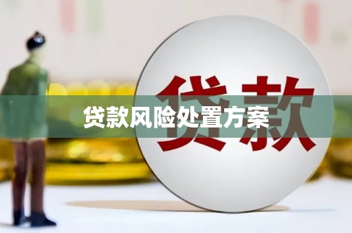 濠江贷款风险处置方案