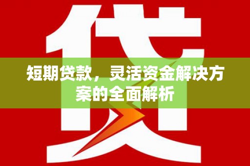 大竹短期贷款，灵活资金解决方案的全面解析