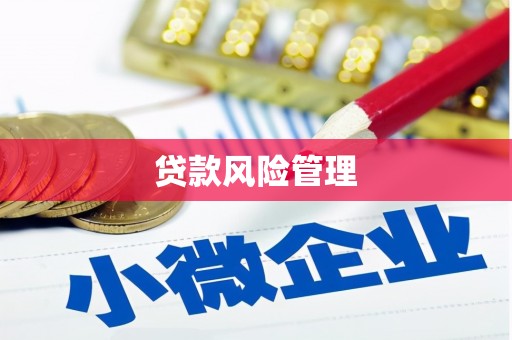 内丘贷款风险管理