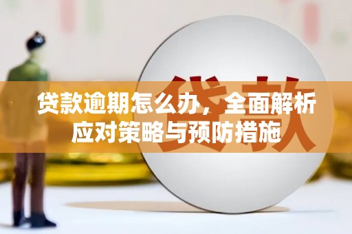 长泰贷款逾期怎么办，全面解析应对策略与预防措施