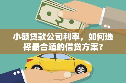 云林小额贷款公司利率，如何选择最合适的借贷方案？