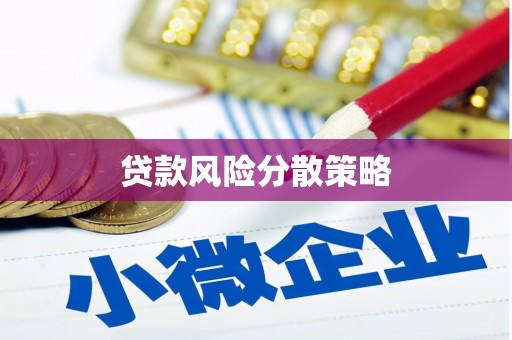 云岩贷款风险分散策略