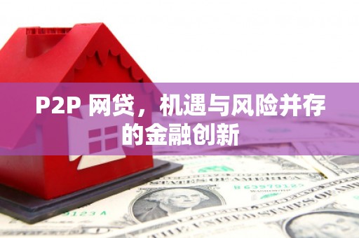 新林P2P 网贷，机遇与风险并存的金融创新