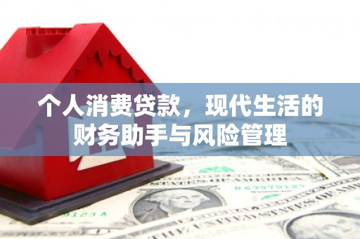 防城港个人消费贷款，现代生活的财务助手与风险管理