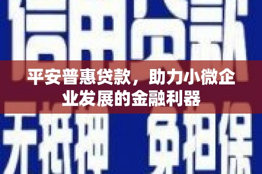 阜康平安普惠贷款，助力小微企业发展的金融利器