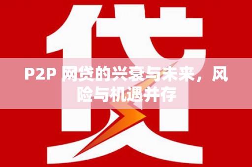 资阳P2P 网贷的兴衰与未来，风险与机遇并存