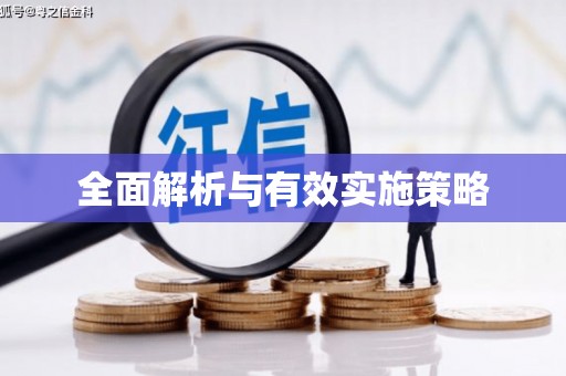 莱西全面解析与有效实施策略
