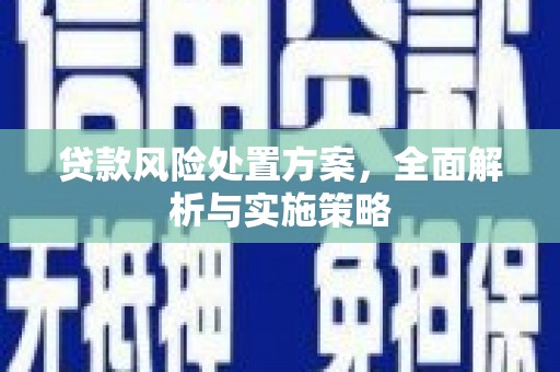 龙亭贷款风险处置方案，全面解析与实施策略