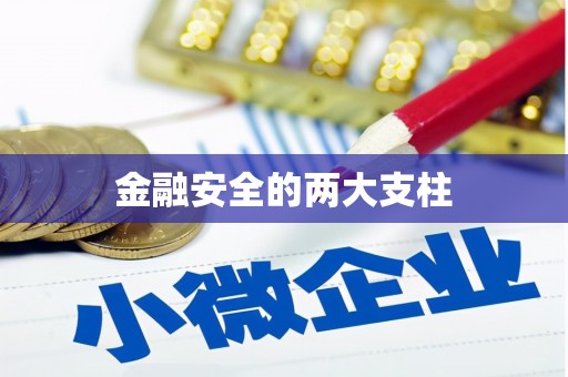 虎林金融安全的两大支柱