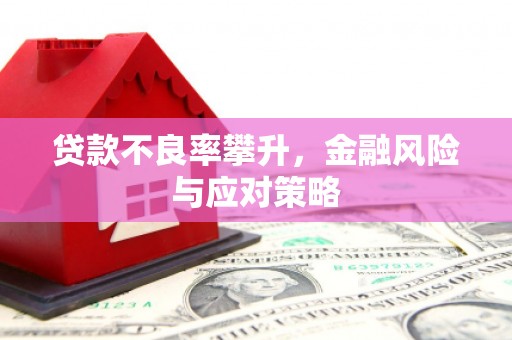 正宁贷款不良率攀升，金融风险与应对策略